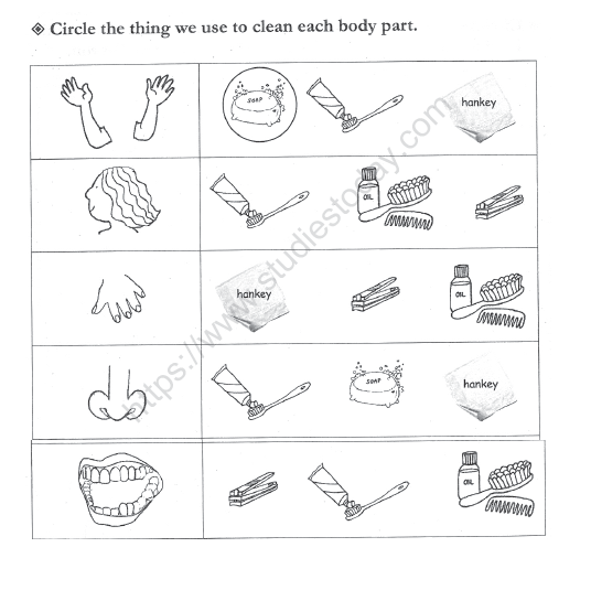 circle the body parts worksheet body parts and five senses worksheets